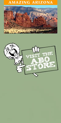 Visit the Abo Store