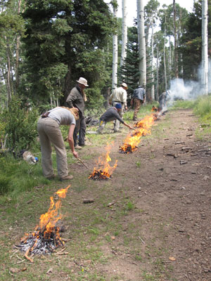 Fire on the mountain