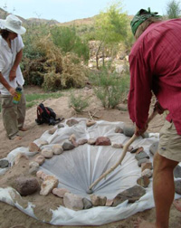 Refining a solar still