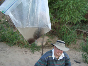 Evapotranspiration still results