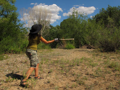 Throwing a rabbit stick