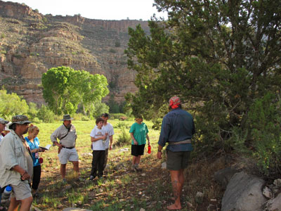 Learning about wild edible plants