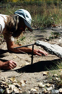 Deadfall trap